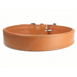 Plain Padded  Leather Dog Collar Chrome fittings: Tan